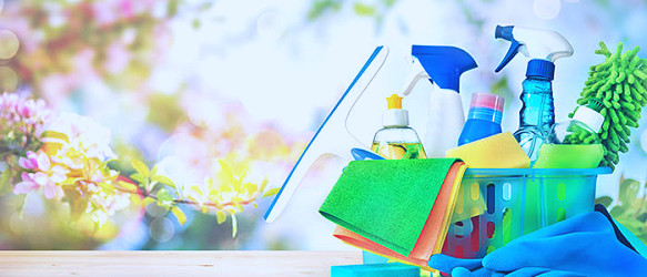 Professional Housekeeping Services • Viola Cleaning